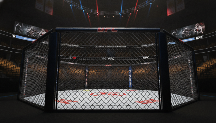 UFC octágono origen